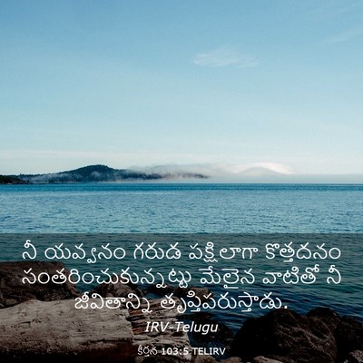 Picture 03 - కీర్తన 103:5 TELIRV - నీ యవ్వనం గరుడ - Bible Verse Picture