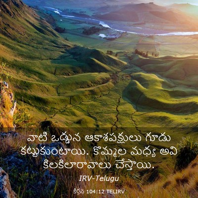 Picture 03 - కీర్తన 104:12 TELIRV - వాటి ఒడ్డున - Bible Verse Picture