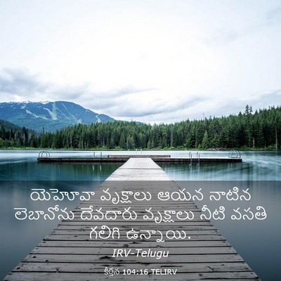 Picture 03 - కీర్తన 104:16 TELIRV - యెహోవా వృక్షాలు - Bible Verse Picture