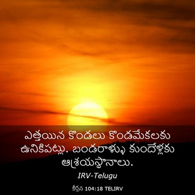Picture 03 - కీర్తన 104:18 TELIRV - ఎత్తయిన కొండలు - Bible Verse Picture
