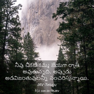 Picture 03 - కీర్తన 104:20 TELIRV - నీవు చీకటి కమ్మ - Bible Verse Picture