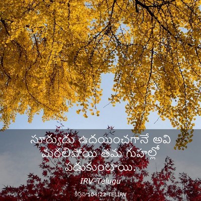 Picture 03 - కీర్తన 104:22 TELIRV - సూర్యుడు - Bible Verse Picture