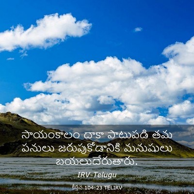 Picture 03 - కీర్తన 104:23 TELIRV - సాయంకాలం దాకా - Bible Verse Picture