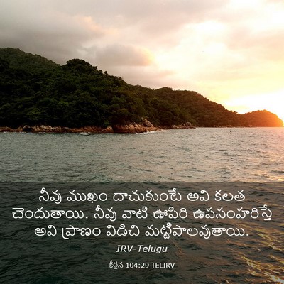 Picture 03 - కీర్తన 104:29 TELIRV - నీవు ముఖం - Bible Verse Picture