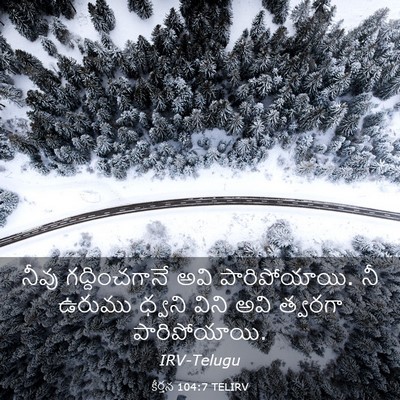 Picture 03 - కీర్తన 104:7 TELIRV - నీవు గద్దించగానే - Bible Verse Picture