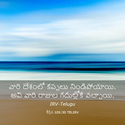 Picture 03 - కీర్తన 105:30 TELIRV - వారి దేశంలో - Bible Verse Picture