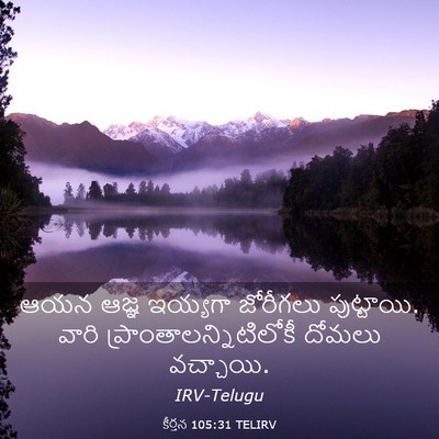 Picture 03 - కీర్తన 105:31 TELIRV - ఆయన ఆజ్ఞ ఇయ్యగా - Bible Verse Picture