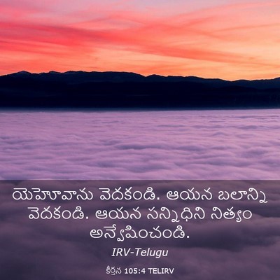 Picture 03 - కీర్తన 105:4 TELIRV - యెహోవాను వెదకండి. - Bible Verse Picture