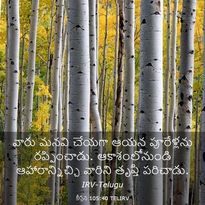 Picture 03 - కీర్తన 105:40 TELIRV - వారు మనవి చేయగా - Bible Verse Picture
