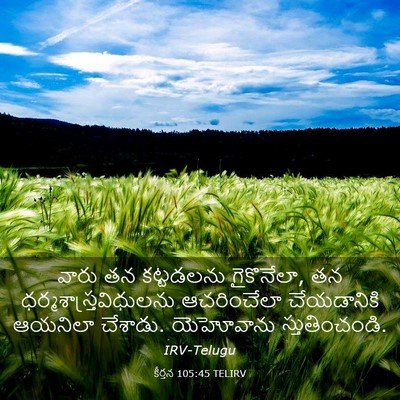 Picture 03 - కీర్తన 105:45 TELIRV - వారు తన కట్టడలను - Bible Verse Picture