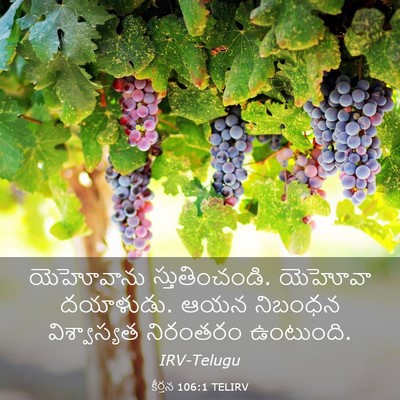 Picture 03 - కీర్తన 106:1 TELIRV - యెహోవాను - Bible Verse Picture