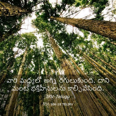 Picture 03 - కీర్తన 106:18 TELIRV - వారి మధ్యలో అగ్ని - Bible Verse Picture