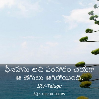Picture 03 - కీర్తన 106:30 TELIRV - ఫీనెహాసు లేచి - Bible Verse Picture