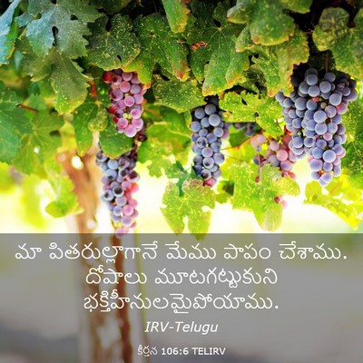 Picture 03 - కీర్తన 106:6 TELIRV - మా పితరుల్లాగానే - Bible Verse Picture
