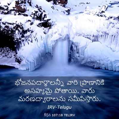 Picture 03 - కీర్తన 107:18 TELIRV - భోజనపదార్థాలన్నీ - Bible Verse Picture