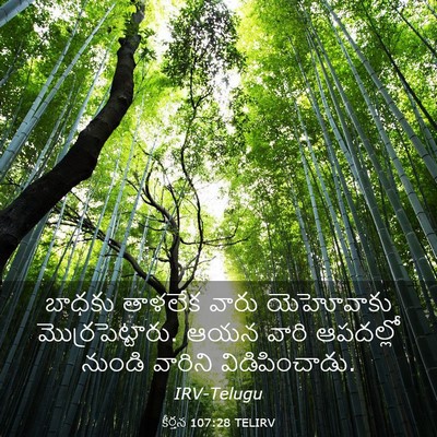 Picture 03 - కీర్తన 107:28 TELIRV - బాధకు తాళలేక వారు - Bible Verse Picture