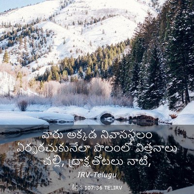 Picture 03 - కీర్తన 107:36 TELIRV - వారు అక్కడ - Bible Verse Picture