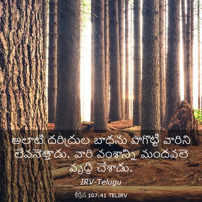 Picture 03 - కీర్తన 107:41 TELIRV - అలాటి దరిద్రుల - Bible Verse Picture