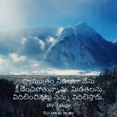 Picture 03 - కీర్తన 109:23 TELIRV - సాయంత్రం నీడలాగా - Bible Verse Picture