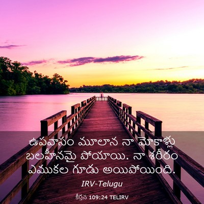 Picture 03 - కీర్తన 109:24 TELIRV - ఉపవాసం మూలాన నా - Bible Verse Picture