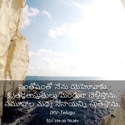 Picture 03 - కీర్తన 109:30 TELIRV - సంతోషంతో నేను - Bible Verse Picture