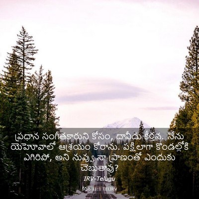 Picture 03 - కీర్తన 11:1 TELIRV - ప్రధాన - Bible Verse Picture