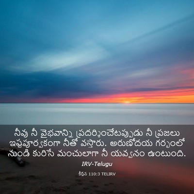 Picture 03 - కీర్తన 110:3 TELIRV - నీవు నీ వైభవాన్ని - Bible Verse Picture