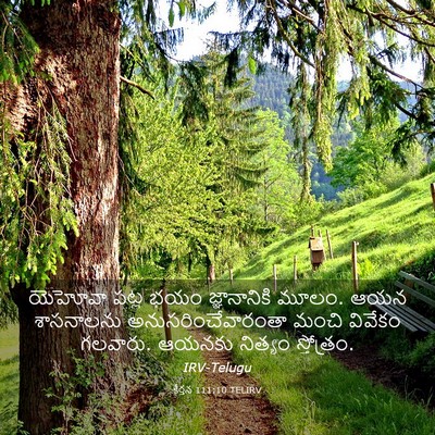 Picture 03 - కీర్తన 111:10 TELIRV - యెహోవా పట్ల భయం - Bible Verse Picture