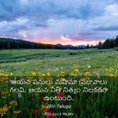 Picture 03 - కీర్తన 111:3 TELIRV - ఆయన పనులు మహిమా - Bible Verse Picture