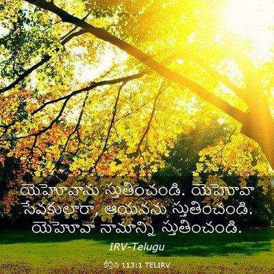 Picture 03 - కీర్తన 113:1 TELIRV - యెహోవాను - Bible Verse Picture