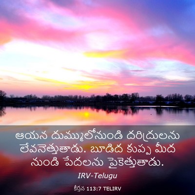 Picture 03 - కీర్తన 113:7 TELIRV - ఆయన దుమ్ములోనుండి - Bible Verse Picture