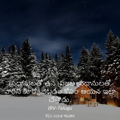 Picture 03 - కీర్తన 113:8 TELIRV - ప్రధానులతో తన - Bible Verse Picture