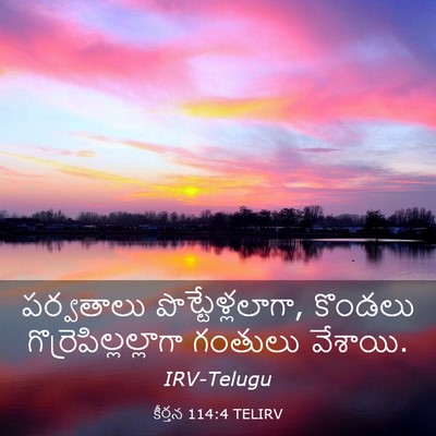 Picture 03 - కీర్తన 114:4 TELIRV - పర్వతాలు - Bible Verse Picture