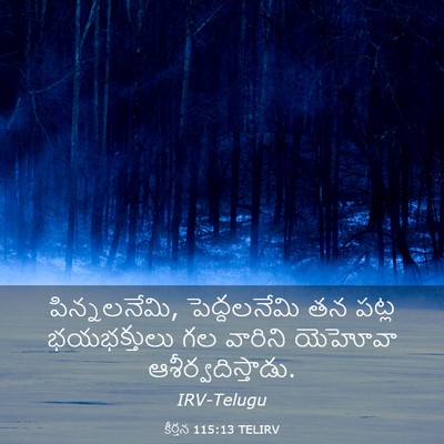 Picture 03 - కీర్తన 115:13 TELIRV - పిన్నలనేమి, - Bible Verse Picture