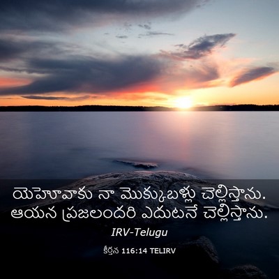 Picture 03 - కీర్తన 116:14 TELIRV - యెహోవాకు నా - Bible Verse Picture