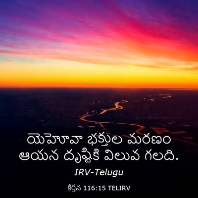 Picture 03 - కీర్తన 116:15 TELIRV - యెహోవా భక్తుల - Bible Verse Picture