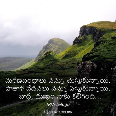 Picture 03 - కీర్తన 116:3 TELIRV - మరణబంధాలు నన్ను - Bible Verse Picture