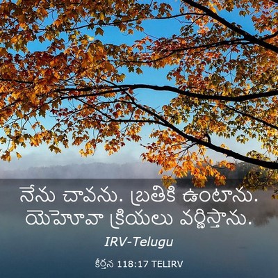 Picture 03 - కీర్తన 118:17 TELIRV - నేను చావను. - Bible Verse Picture
