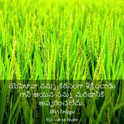 Picture 03 - కీర్తన 118:18 TELIRV - యెహోవా నన్ను - Bible Verse Picture