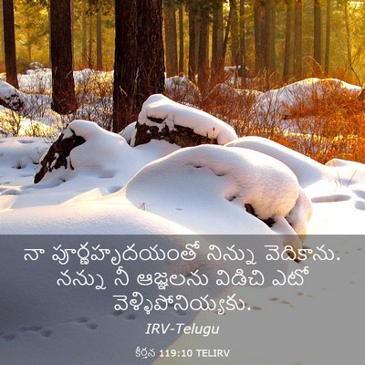 Picture 03 - కీర్తన 119:10 TELIRV - నా పూర్ణహృదయంతో - Bible Verse Picture