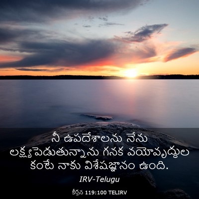 Picture 03 - కీర్తన 119:100 TELIRV - నీ ఉపదేశాలను నేను - Bible Verse Picture