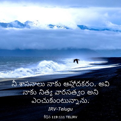 Picture 03 - కీర్తన 119:111 TELIRV - నీ శాసనాలు నాకు - Bible Verse Picture