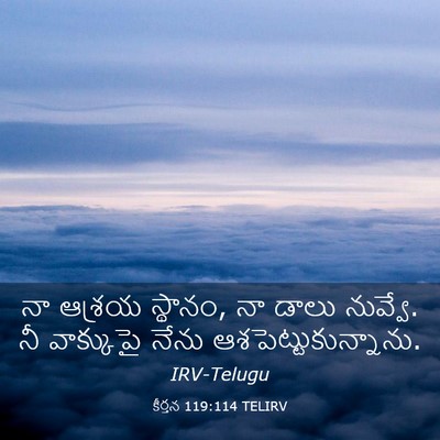 Picture 03 - కీర్తన 119:114 TELIRV - నా ఆశ్రయ స్థానం, నా - Bible Verse Picture