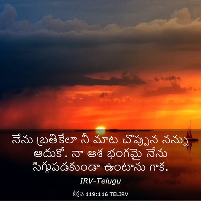 Picture 03 - కీర్తన 119:116 TELIRV - నేను బ్రతికేలా నీ - Bible Verse Picture