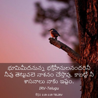 Picture 03 - కీర్తన 119:119 TELIRV - భూమిమీదనున్న - Bible Verse Picture