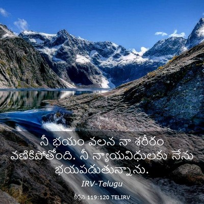 Picture 03 - కీర్తన 119:120 TELIRV - నీ భయం వలన నా శరీరం - Bible Verse Picture