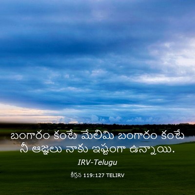Picture 03 - కీర్తన 119:127 TELIRV - బంగారం కంటే - Bible Verse Picture
