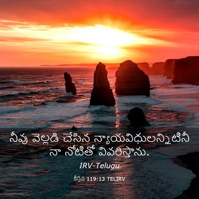 Picture 03 - కీర్తన 119:13 TELIRV - నీవు వెల్లడి - Bible Verse Picture