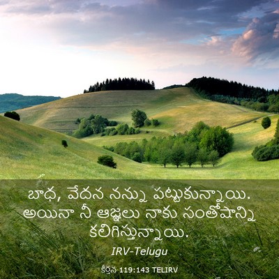 Picture 03 - కీర్తన 119:143 TELIRV - బాధ, వేదన నన్ను - Bible Verse Picture