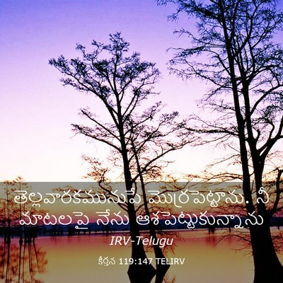 Picture 03 - కీర్తన 119:147 TELIRV - తెల్లవారకమునుపే - Bible Verse Picture